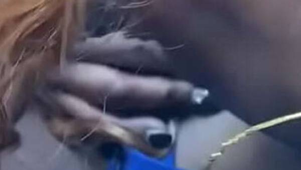 Ebony babe works hard for that nut - intense blowjob action on ebonyporntube.net